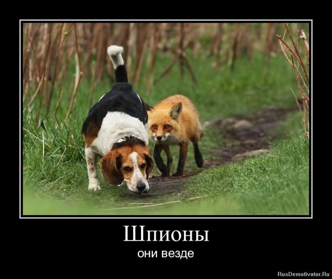 Агенты литовских спецслужб завербованы ФСБ и шпионят за президентом Агенты литовских спецслужб завербованы ФСБ и шпионят за президентом