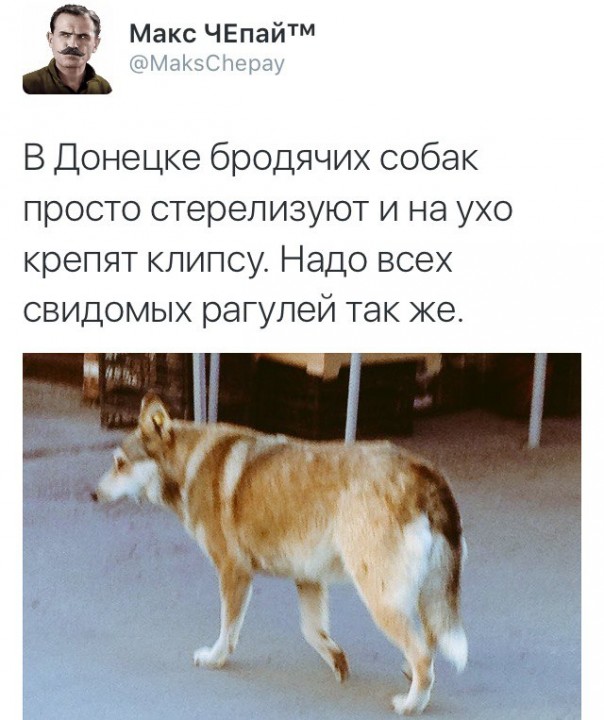"Мыздобулы" в картинках. Смешных и не очень... 04-07-2016