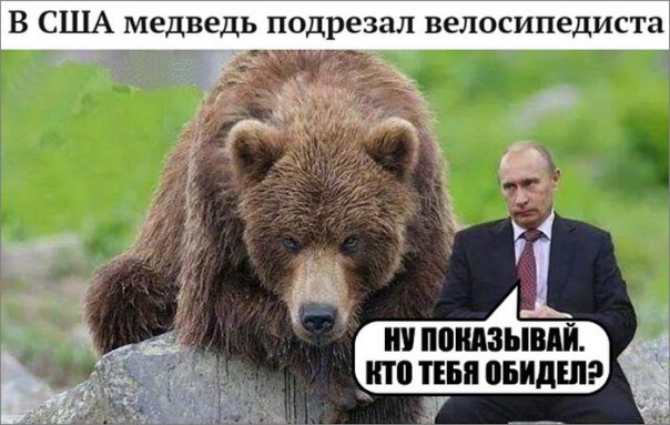 "Мыздобулы" в картинках. Смешных и не очень... 04-07-2016