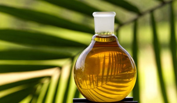 Про пальмовое масло и цистерны