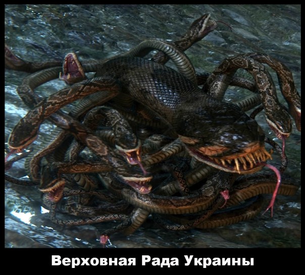 Змеи в Раде жалят друг друга