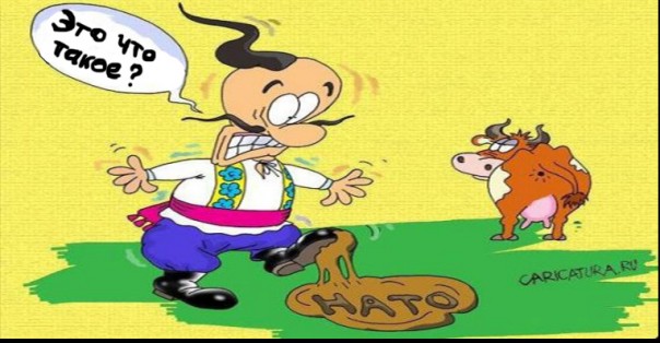 Последняя соломинка Порошенко