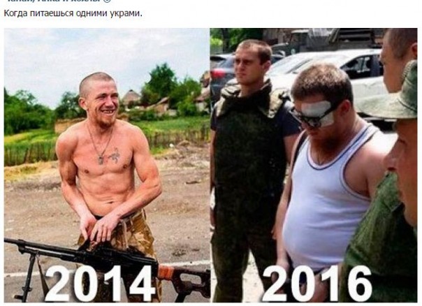 "Мыздобулы" в картинках. Смешных и не очень... 08-07-2016