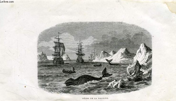 Трактат о проливах или великая победа  Российской дипломатии