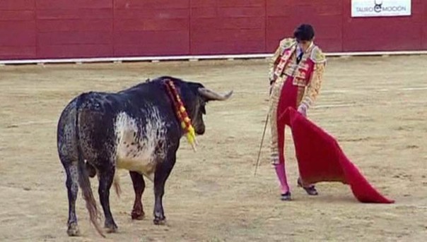 Бык убил испанского тореадора во время представления