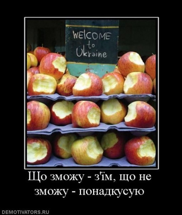 Тиха украинская ночь, но злаки надо перепрятать