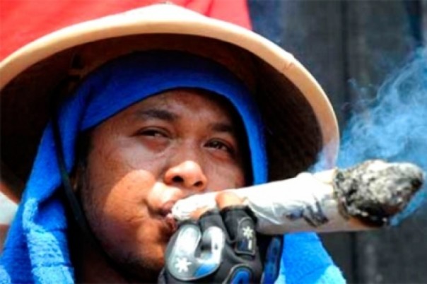Шишки, фен и чистый кокс или чем себя «бодрят» украинские грантоеды.