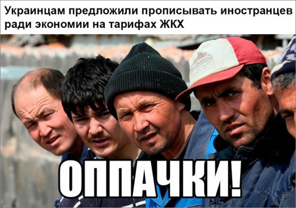 "Мыздобулы" в картинках. Смешных и не очень... 16-07-2016