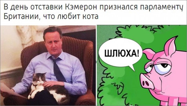 "Мыздобулы" в картинках. Смешных и не очень... 16-07-2016