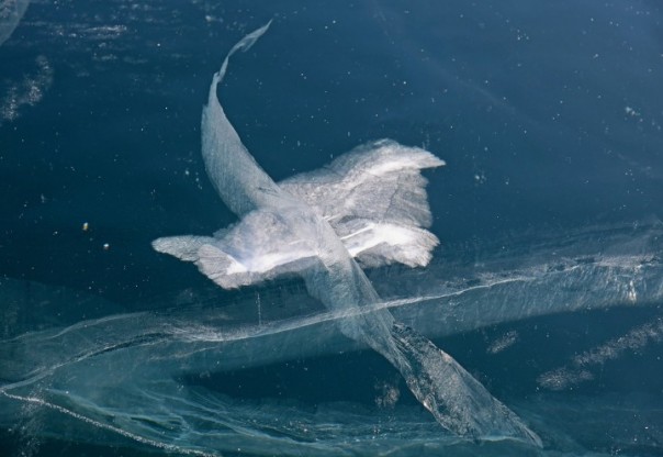 Отдых в России. Байкал. Зима Отдых в России. Байкал. Зима