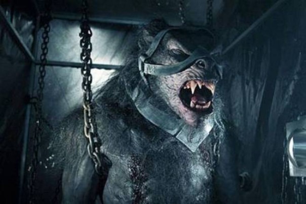 Флешка по имени Земля, или Существует ли Хитрый План Бога?