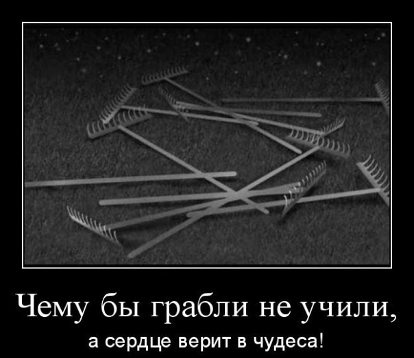 И ещё раз об Олимпиаде и не только… И ещё раз об Олимпиаде и не только…