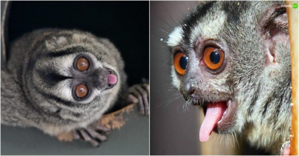 И ещё раз об Олимпиаде и не только… И ещё раз об Олимпиаде и не только…