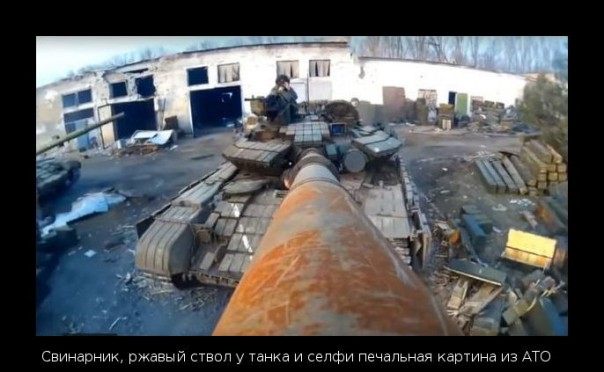 "Мыздобулы" в картинках. Смешных и не очень... 24-07-2016