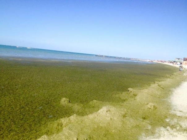 В Железном Порту у отдыхающих шок В Железном Порту у отдыхающих шок