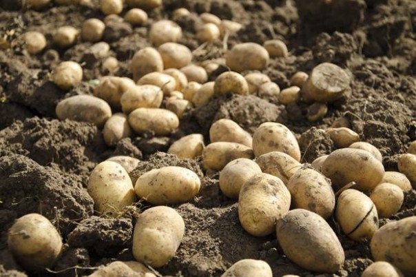 День в истории: 28 июля