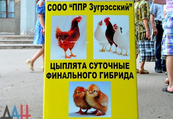 В Горловке начался масштабный республиканский фестиваль городов и районов В Горловке начался масштабный республиканский фестиваль городов и районов