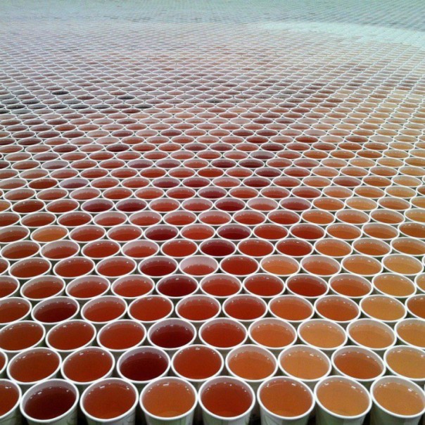 66 000 биоразлагаемых стаканчиков, 16 000 литров дождевой воды и краски, 62 часа трепетной работы… 66 000 биоразлагаемых стаканчиков, 16 000 литров дождевой воды и краски, 62 часа трепетной работы…