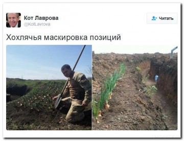 "Мыздобулы" в картинках. Смешных и не очень... 01-07-2016