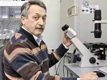 Парадокс стволовых клеток