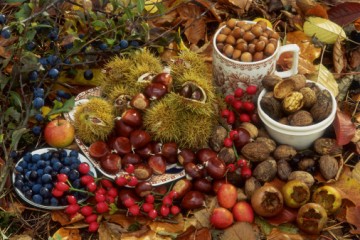 Сибирские сладости поднимут российскую экономику