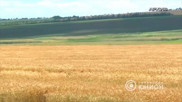 Жатва в хозяйствах ДНР набирает обороты. 05.07.2016, «Панорама»