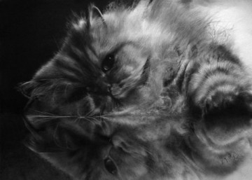 Восхитительные карандашные коты Пола Ланга 