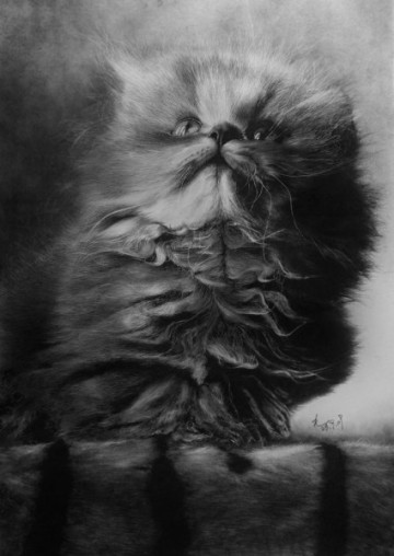 Восхитительные карандашные коты Пола Ланга 