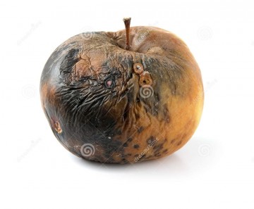 Российским «яблочникам» рекомендовали избираться в ВР Украины, а не в Госдуму РФ