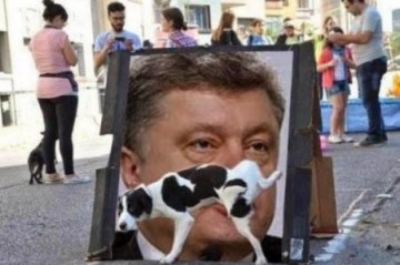 Нет больше веры! Рейтинг доверия к правительству Украины практически нулевой