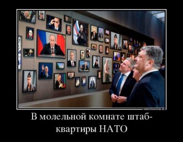 "Мыздобулы" в картинках. Смешных и не очень... 15-07-2016