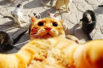 Эмоциональная тупость. Нюра Н. Берг