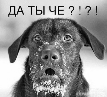И ещё раз об Олимпиаде и не только…