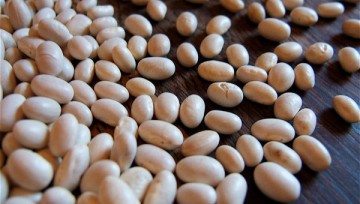 В ЕС разрешили ввоз генно-модифицированной сои