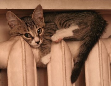 Три города Днепропетровской области отключат от централизованного теплоснабжения