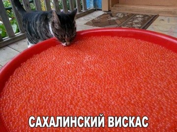 Пригодилась физика