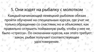 Девять отличий немца от русского