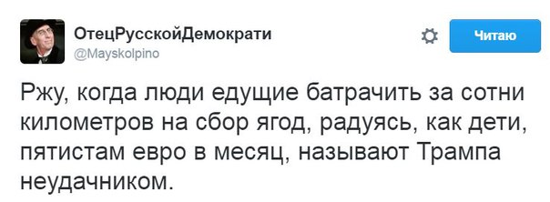 "Мыздобулы" в картинках. Смешных и не очень... 2-08-2016