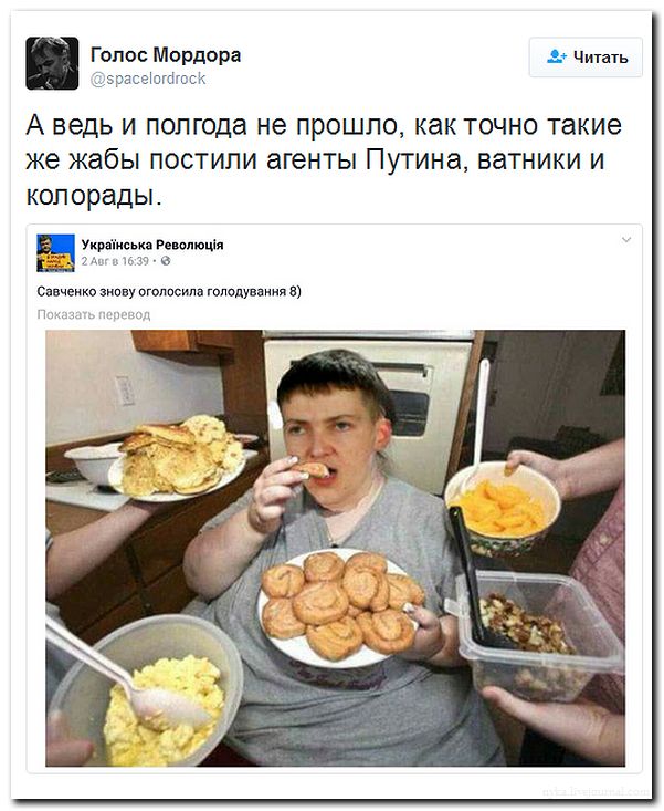 "Мыздобулы" в картинках. Смешных и не очень... 3-08-2016 "Мыздобулы" в картинках. Смешных и не очень... 3-08-2016