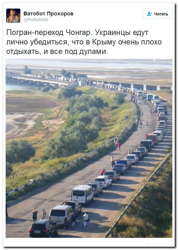 "Мыздобулы" в картинках. Смешных и не очень... 3-08-2016 "Мыздобулы" в картинках. Смешных и не очень... 3-08-2016