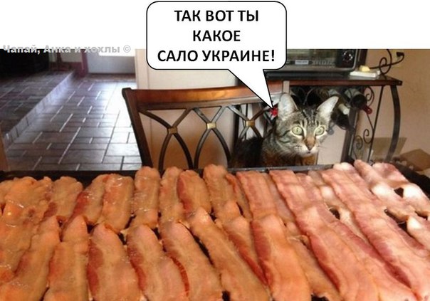 "Мыздобулы" в картинках. Смешных и не очень... 3-08-2016