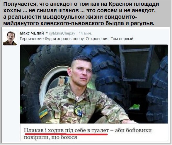 "Мыздобулы" в картинках. Смешных и не очень... 5-08-2016 (2) "Мыздобулы" в картинках. Смешных и не очень... 5-08-2016 (2)