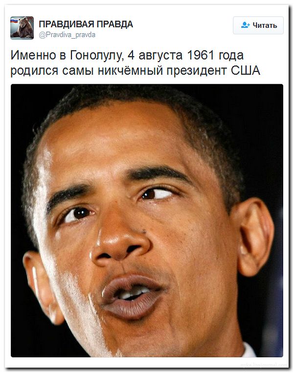 "Мыздобулы" в картинках. Смешных и не очень... 5-08-2016 (2) "Мыздобулы" в картинках. Смешных и не очень... 5-08-2016 (2)