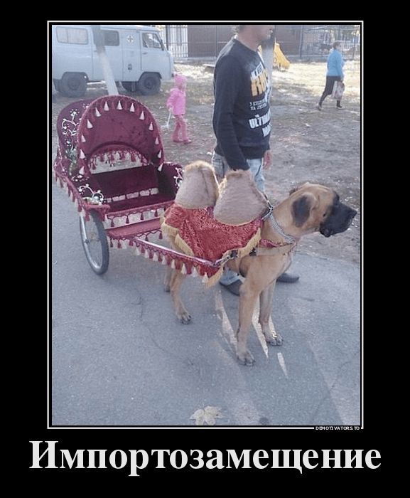 "Мыздобулы" в картинках. Смешных и не очень... 5-08-2016 (2) "Мыздобулы" в картинках. Смешных и не очень... 5-08-2016 (2)