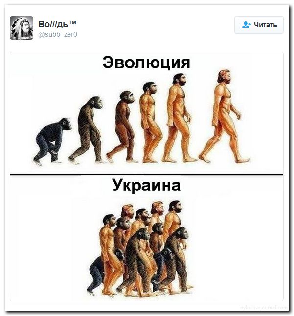 "Мыздобулы" в картинках. Смешных и не очень... 5-08-2016 (2) "Мыздобулы" в картинках. Смешных и не очень... 5-08-2016 (2)