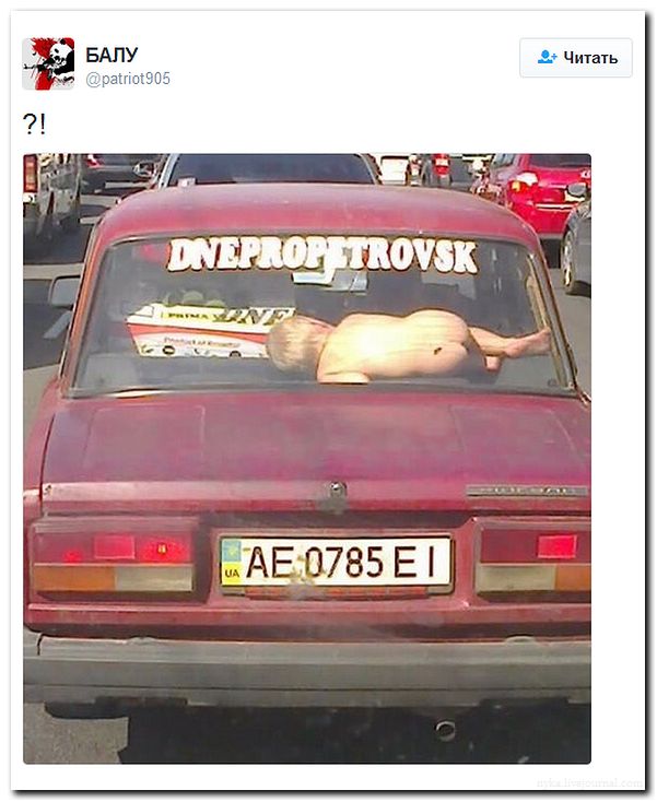 "Мыздобулы" в картинках. Смешных и не очень... 5-08-2016 (2) "Мыздобулы" в картинках. Смешных и не очень... 5-08-2016 (2)