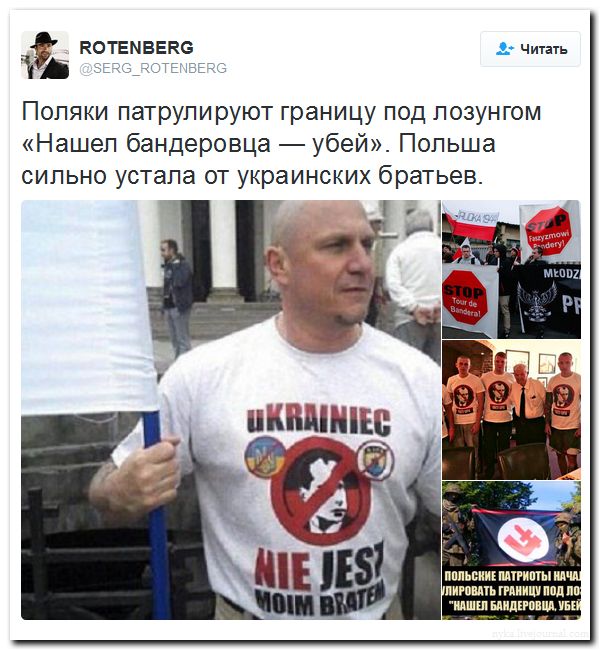 "Мыздобулы" в картинках. Смешных и не очень... 5-08-2016 (2) "Мыздобулы" в картинках. Смешных и не очень... 5-08-2016 (2)