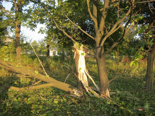 Сводка от МО ДНР 6 августа 2016 года. Укрофашисты за сутки почти 450 раз обстреляли прифронтовую территорию ДНР Сводка от МО ДНР 6 августа 2016 года. Укрофашисты за сутки почти 450 раз обстреляли прифронтовую территорию ДНР