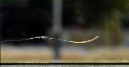 Новая подборка новостей мира науки и техники 06-08-2016 Новая подборка новостей мира науки и техники 06-08-2016