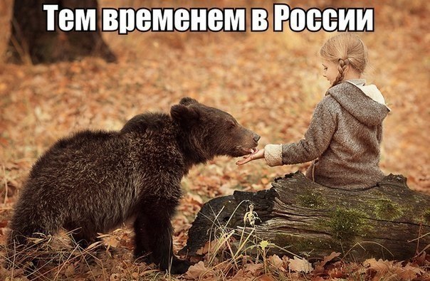 "Мыздобулы" в картинках. Смешных и не очень... 6-08-2016 "Мыздобулы" в картинках. Смешных и не очень... 6-08-2016